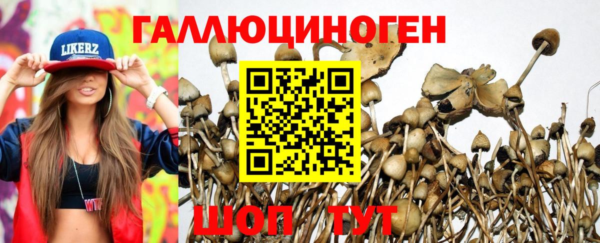 Псилоцибиновые грибы прущие грибы Междуреченск