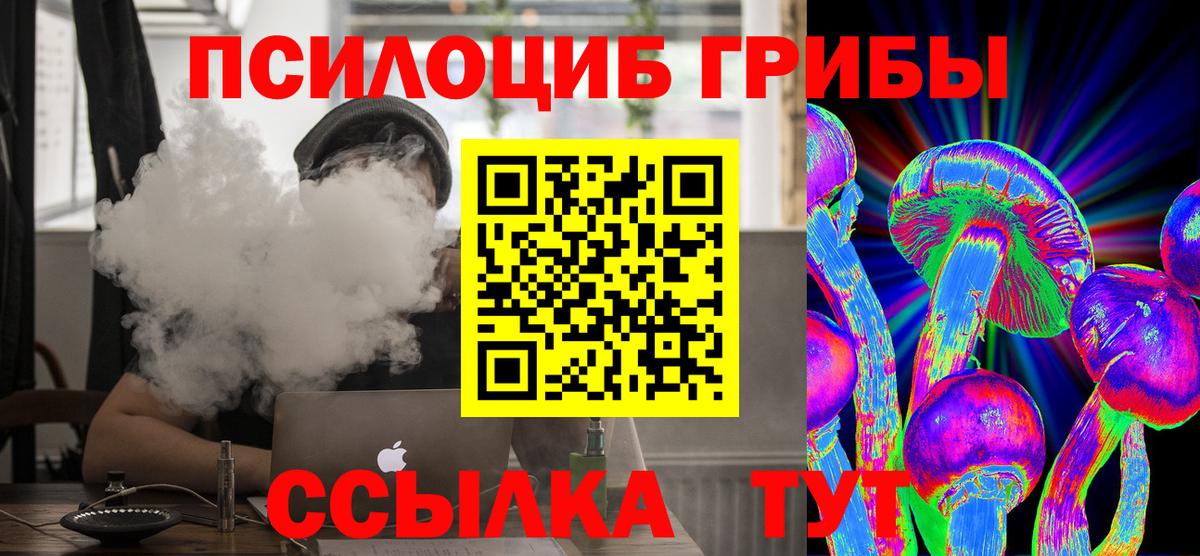 Междуреченск  Псилоцибиновые грибы MAGIC MUSHROOMS  Вход с VPN 
